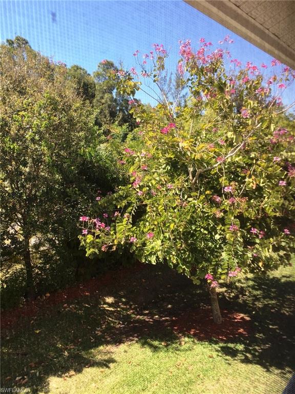 MAGNOLIA FALLS - Residential