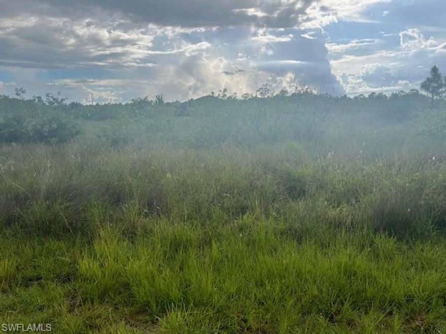 It sounds like you've got a fantastic opportunity on your hands! A half-acre lot is quite spacious and offers a lot of potential for building a dream home or using it as an investment property. Whether you're envisioning a serene primary residence or exploring the possibilities of developing the land for profit, the possibilities are exciting. Have you thought about what kind of home or project you'd like to see on the property?