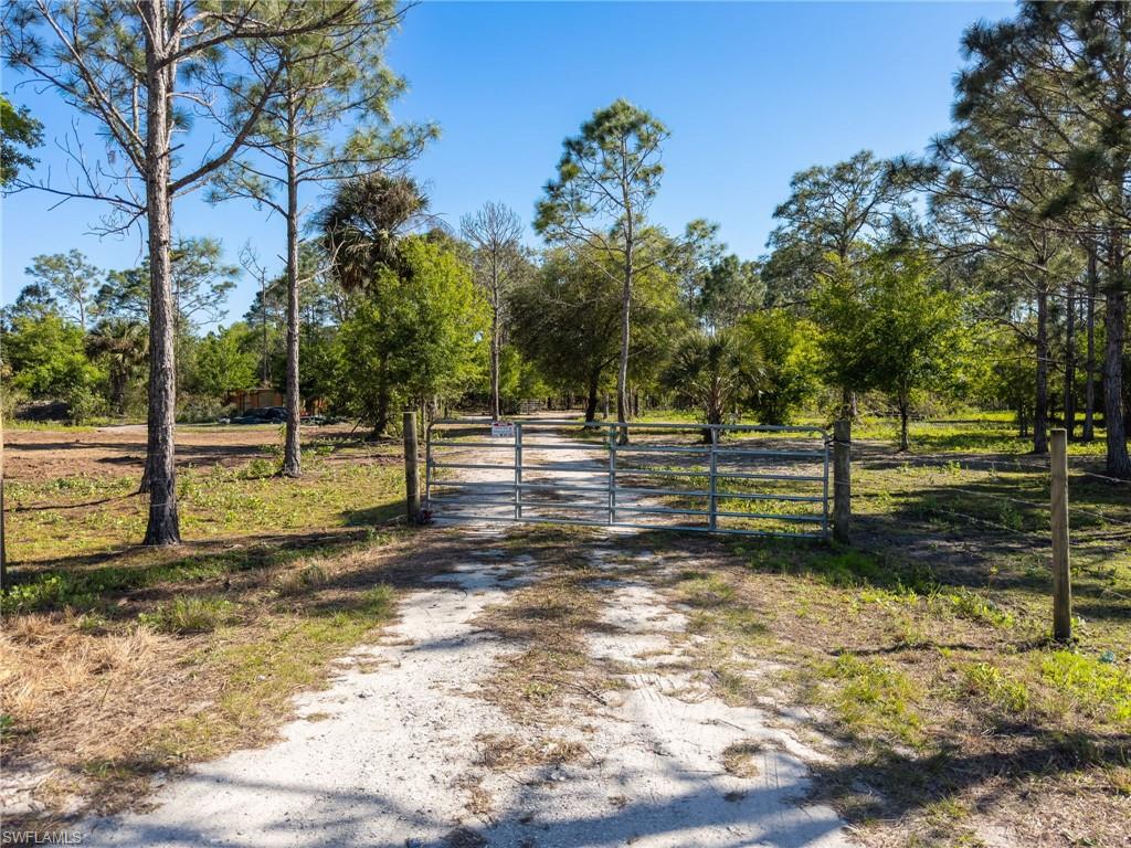 Listing image 6