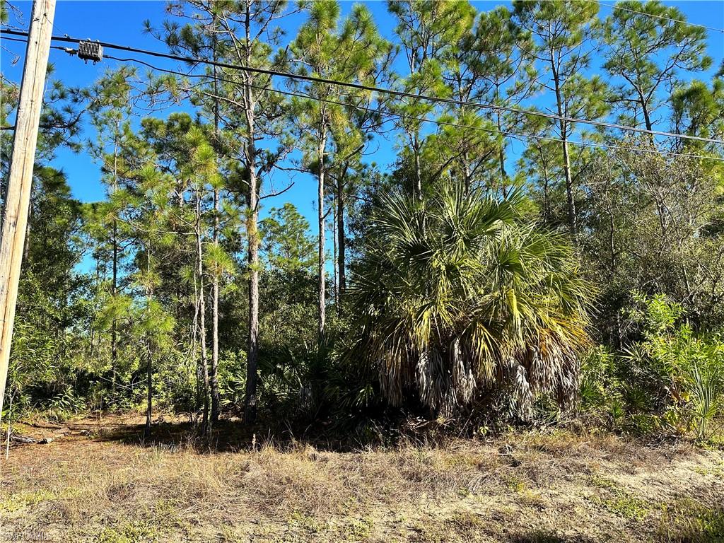 GOLDEN GATE ESTATES - Land