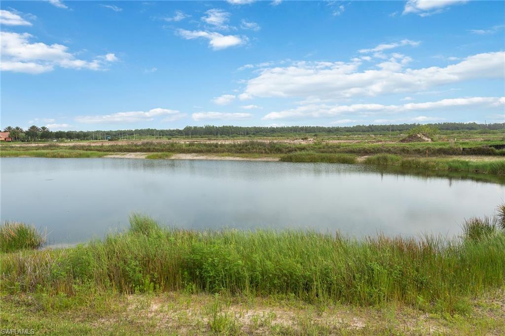 AVALON PARK - Residential