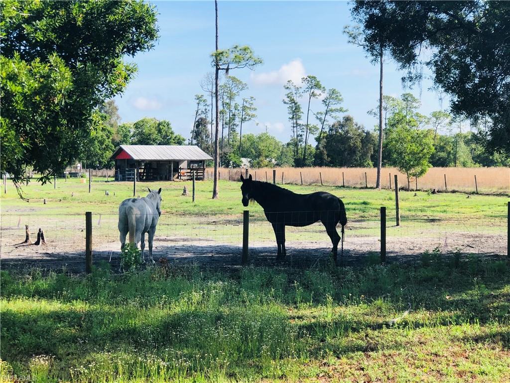 ACREAGE - Residential