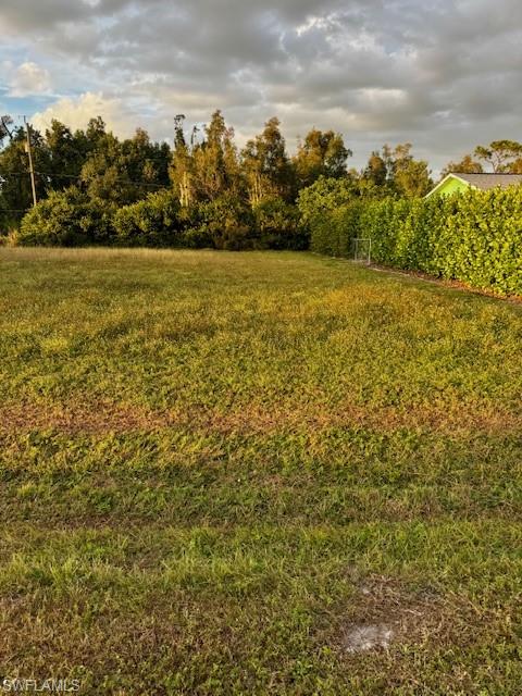 PINE ISLAND CENTER - Land