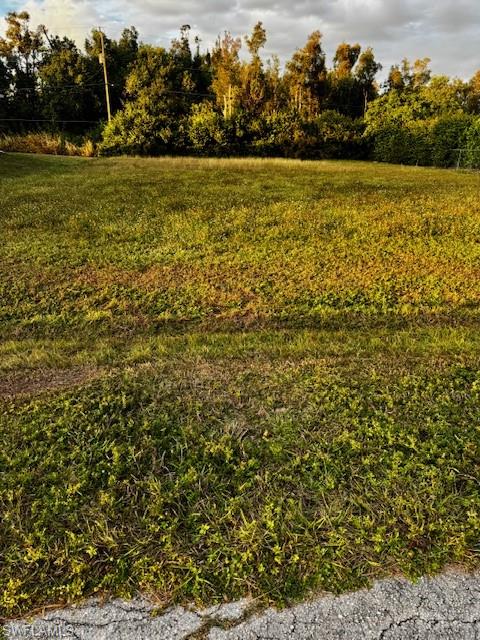 PINE ISLAND CENTER - Land