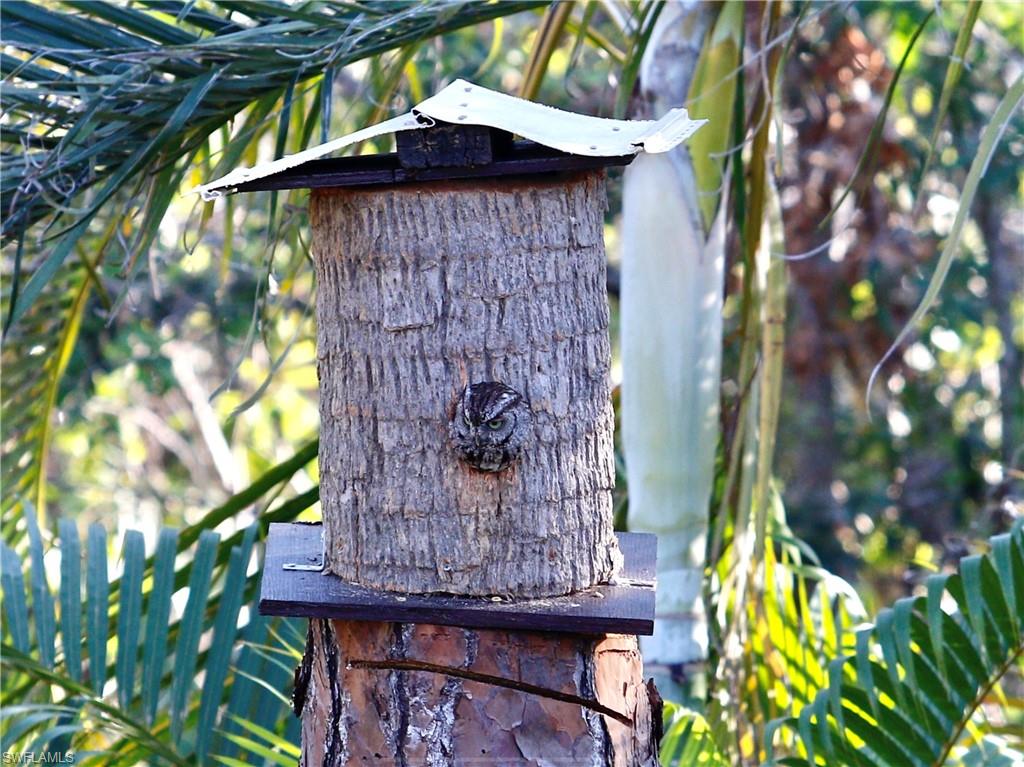 PINE ISLAND - Residential