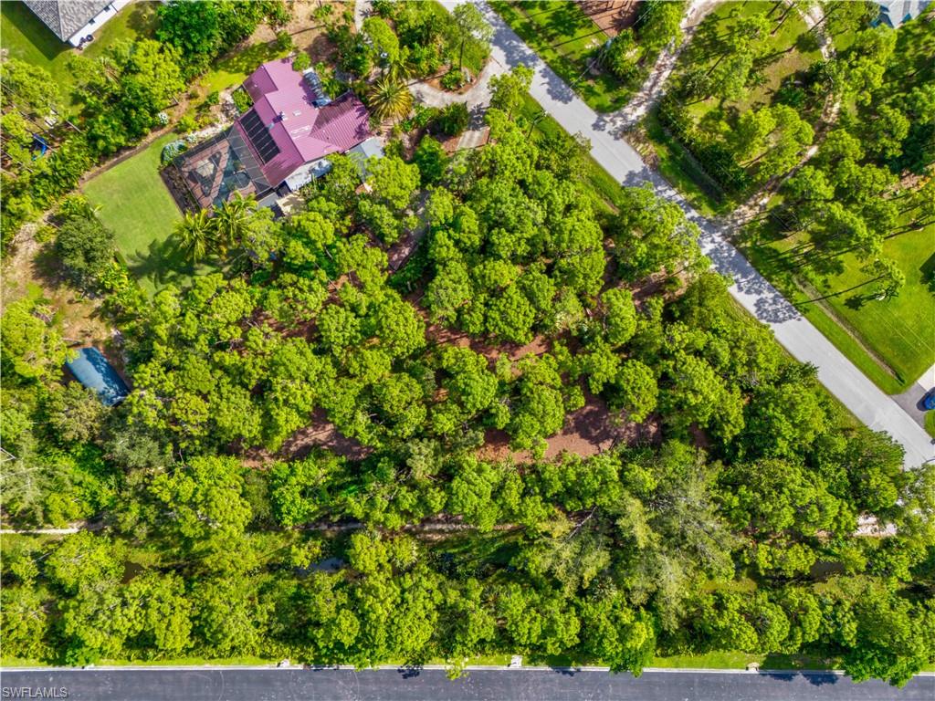 SAN CARLOS ESTATES - Land