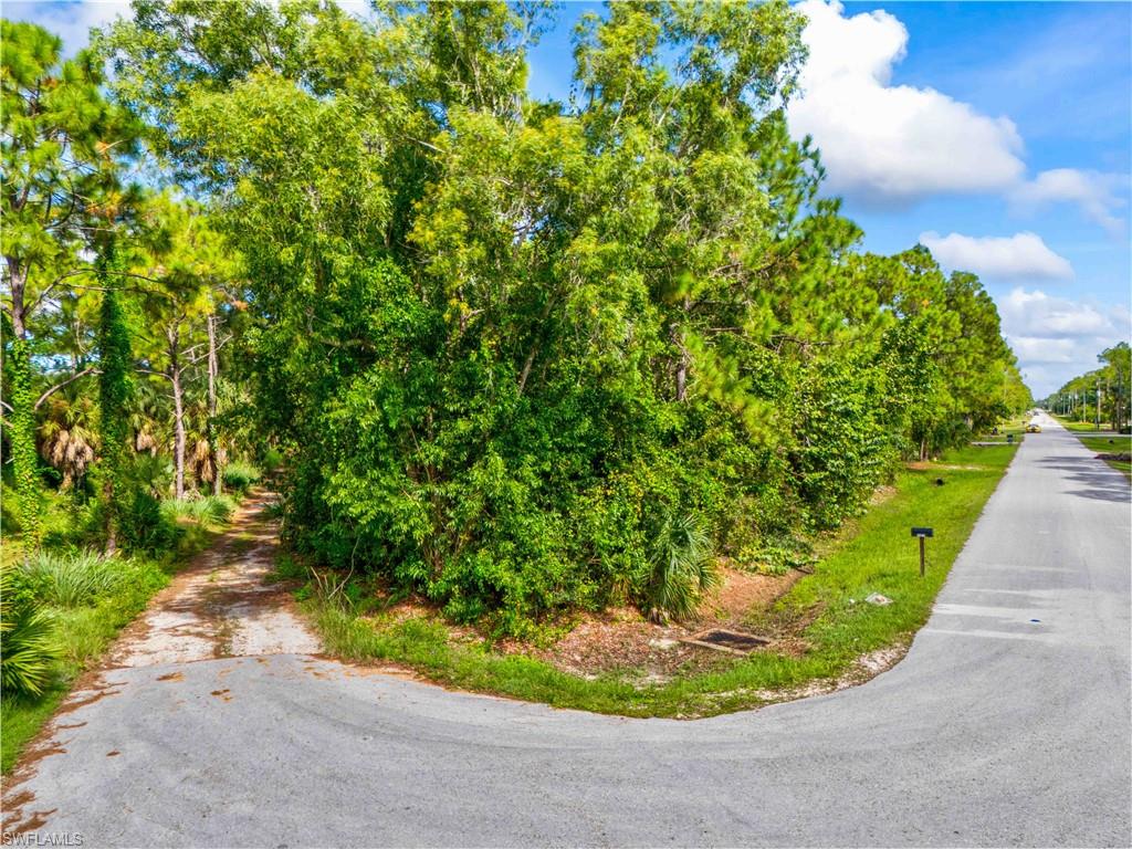 SAN CARLOS ESTATES - Land