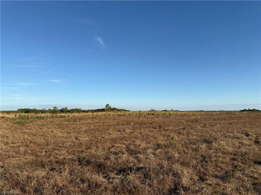 Farm land for lease, cleared and ready for use. Approximately 163 acres net, with irrigation canal at north end of property. Electric on site, small shed at south east corner. Roads are private and maintained by Gerber Groves Water Control District. Approximately 1 hour from RSW, and 45 minutes from I-75  via SR 29 in Immokalee or SR 80 in Fort Myers. Property is in the Gerber Water District and subject to the Water District tax which is collected by the Hendry County Tax Collector and is used to maintain the roads, canals, and employ security. The roads are private and monitored by a security guard to prevent trespassing.