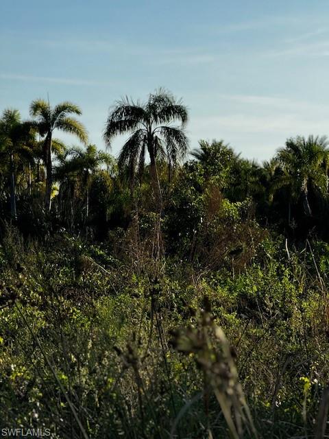 KREAMERS AVOCADO SUBD - Land