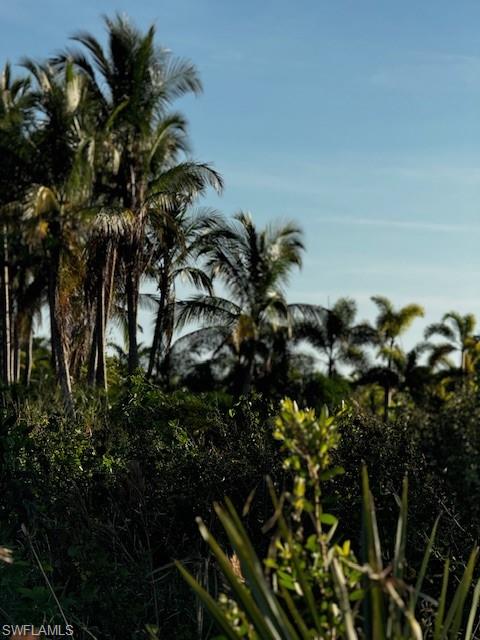 KREAMERS AVOCADO SUBD - Land