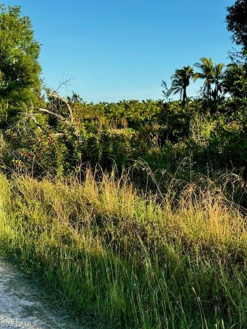 KREAMERS AVOCADO SUBD - Land