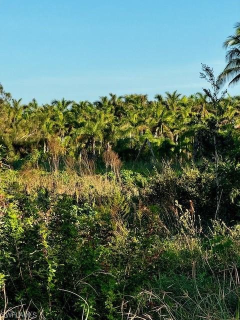 KREAMERS AVOCADO SUBD - Land