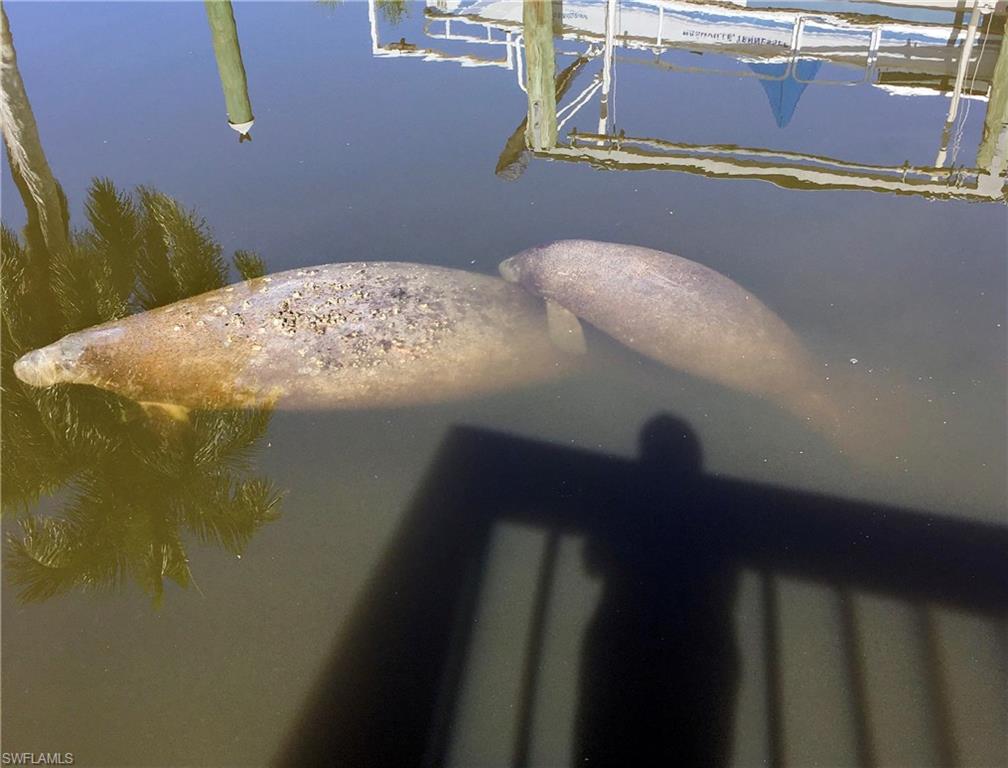 BAYSIDE ESTATES - Land