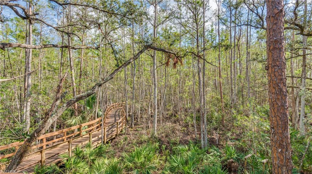 PALAZZO - Residential