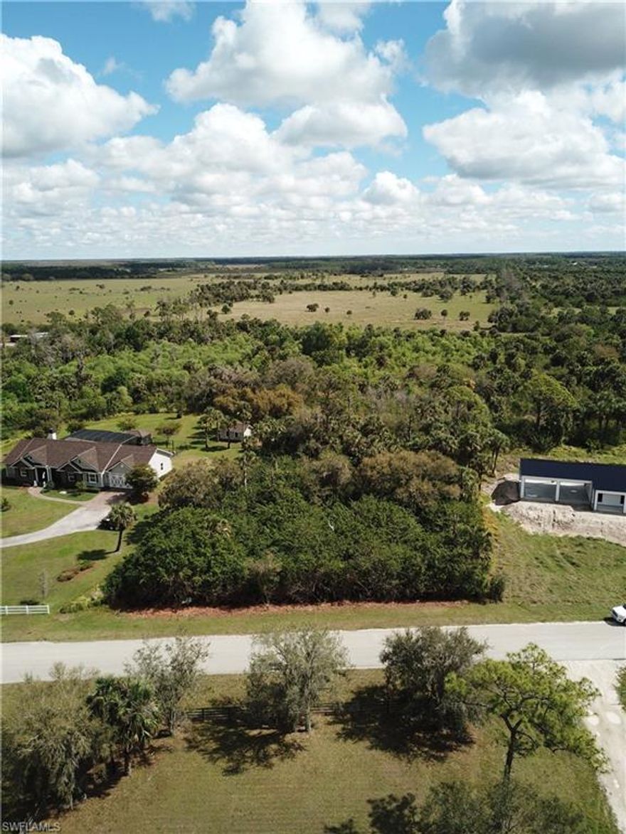 Great opportunity to build your dream house on acreage! This 3.1 acre lot is the perfect grounds for those looking to build on a larger lot, while still have the conformity and conveniences of a ranch style community. The lot is perfectly situated in Alva, providing the secluded and southern allure of SouthWest Florida, while being conveniently located just 20 minutes away from i-75 and 10 minutes from Babcock Ranch and Publix. 3+ Acres are hard to find in Alva, especially at this price! Per SWFL WM no structures can be build on the conservation easement, however horses are permitted.