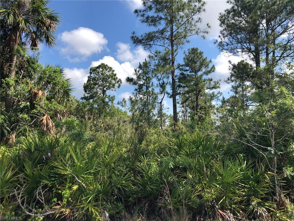 GOLDEN GATE ESTATES - Land