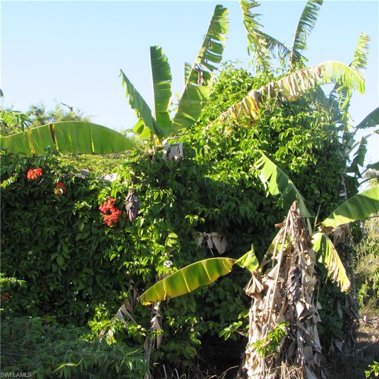 PINE ISLAND ESTATES - Land