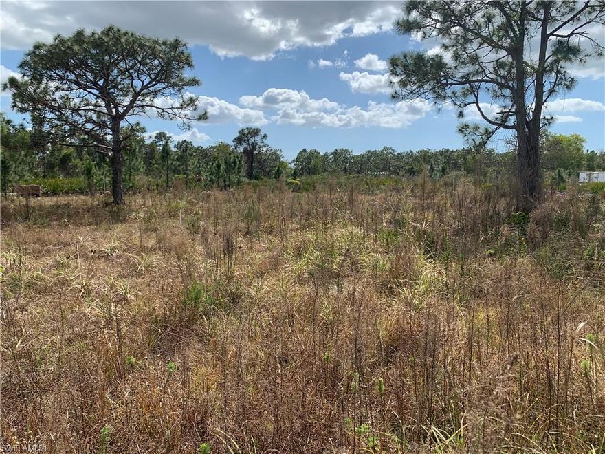 .44 acres Cleared, non flood area. adjacent lot available. New homes being built on the road.