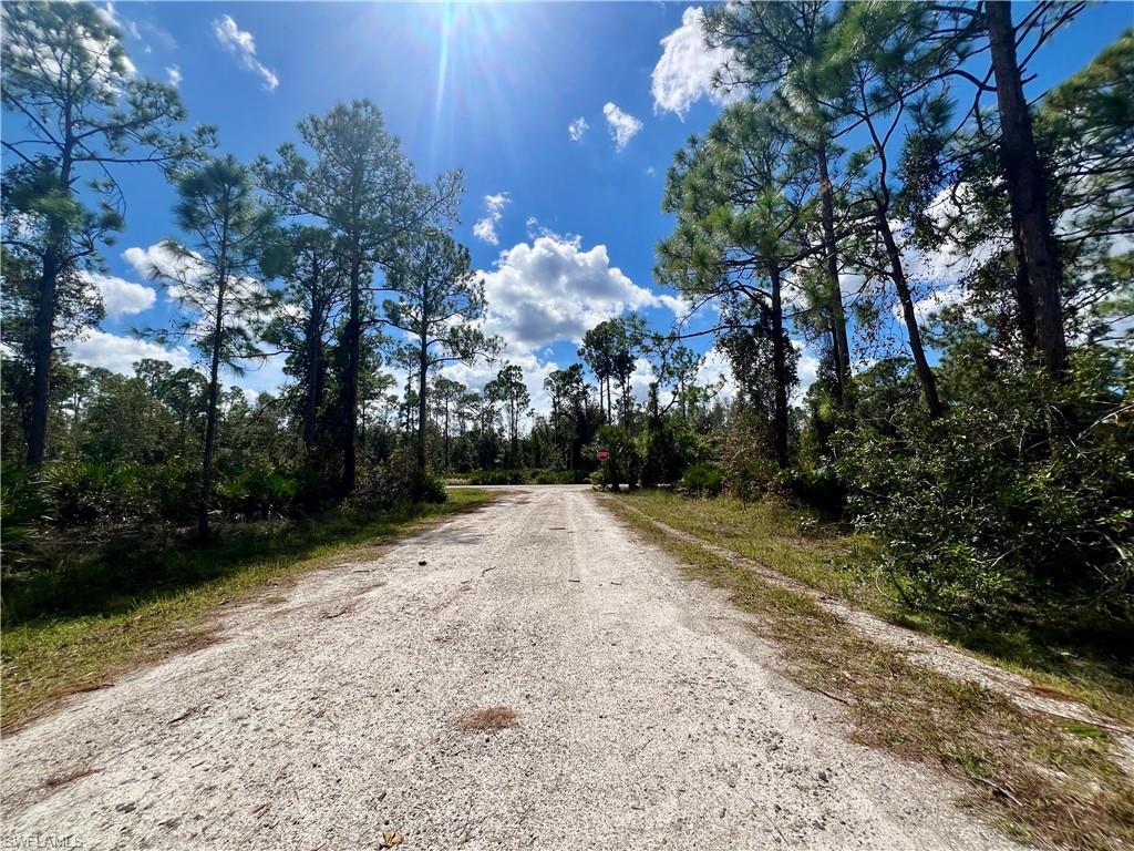 TROPICAL GULF ACRES - Land