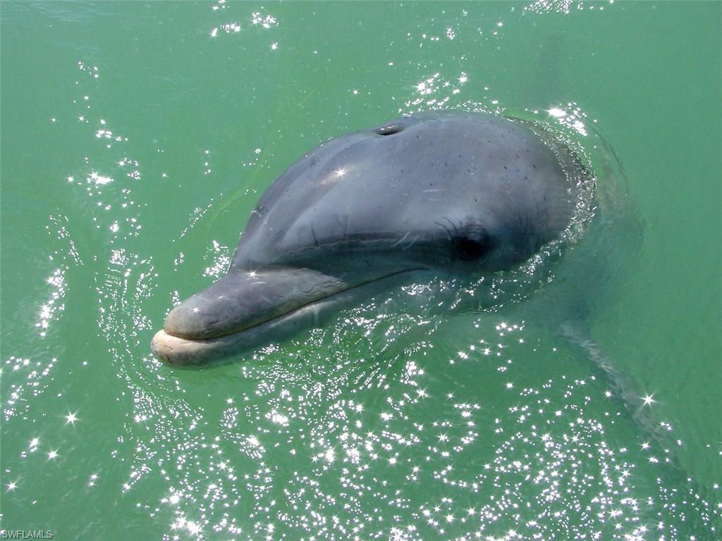 FROWES SUBD - Residential