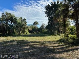 ACREAGE HEADER - Land