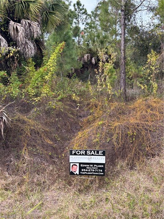 GOLDEN GATE ESTATES - Land