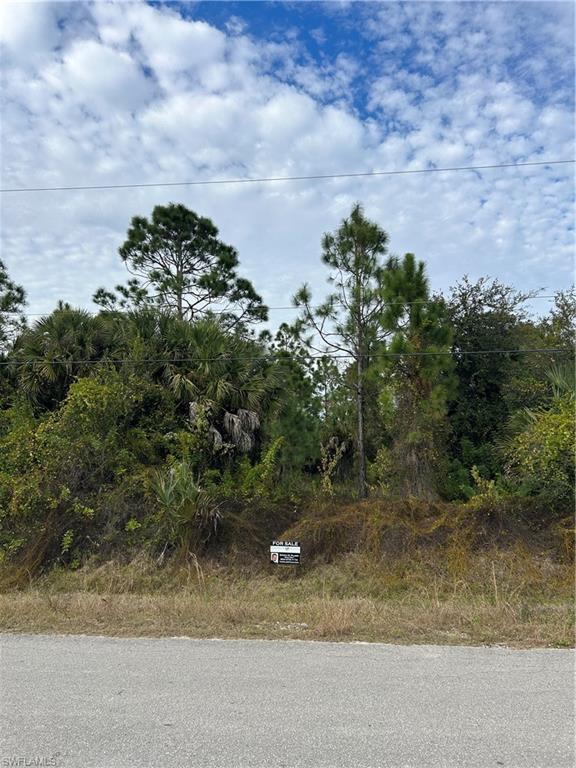 GOLDEN GATE ESTATES - Land