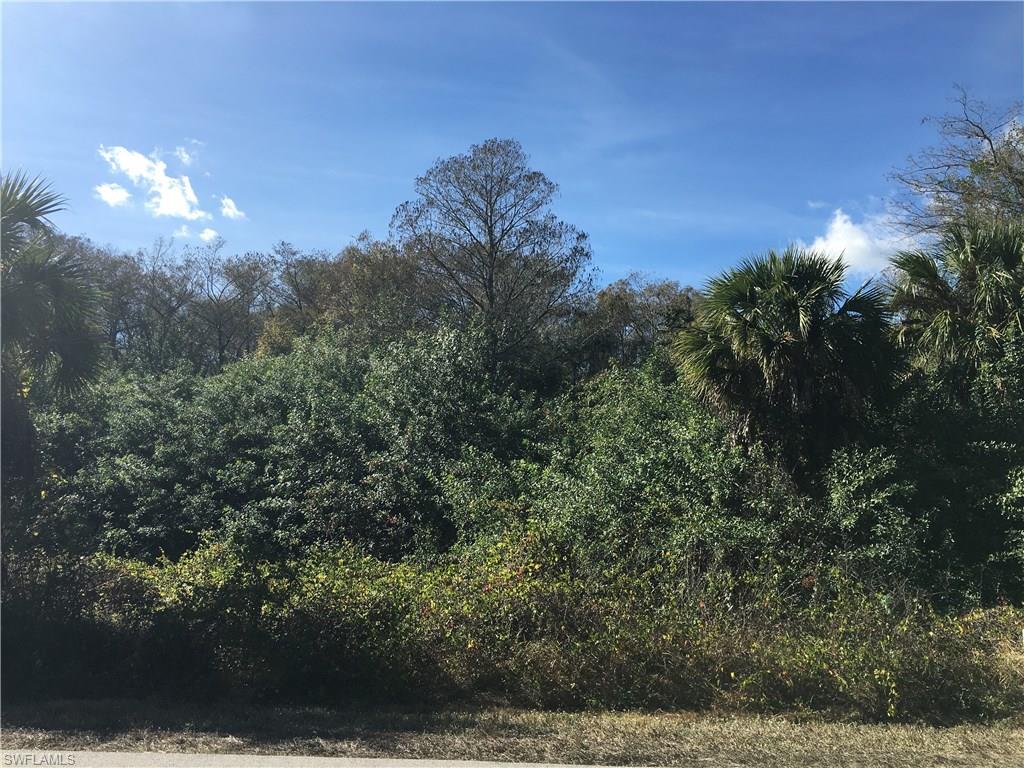 GOLDEN GATE ESTATES - Land