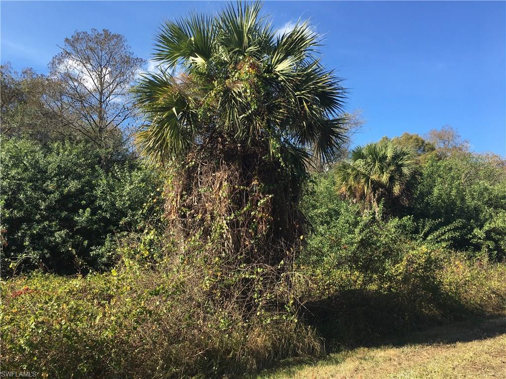 GOLDEN GATE ESTATES - Land