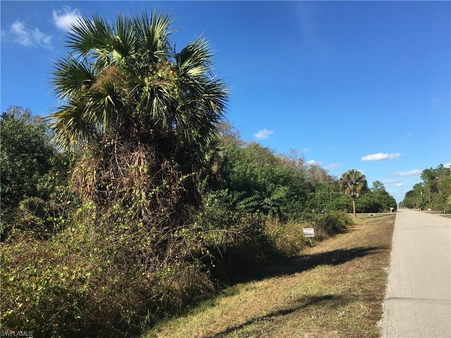84% UPLAND with the ability to avoid an ERP per TEC's 2016 survey. Across the street from canal lots! The home just before this lot on the right is absolutely fabulous! ****221 2nd St. NE, a smaller lot, 3 streets over, sold on 11/4/16 for $45k - TEC's 2016 environmental report for 221 2nd St. NE shows it as 100% WETLAND**** This gorgeous 8th ST NE LOT IS A GREAT FIND being 84% UPLAND with the ability to avoid an ERP per TEC! Located in the heart of Golden Gate Estates, VERY close to the pharmacy, future new Publix, current public library, restaurants, and much more.