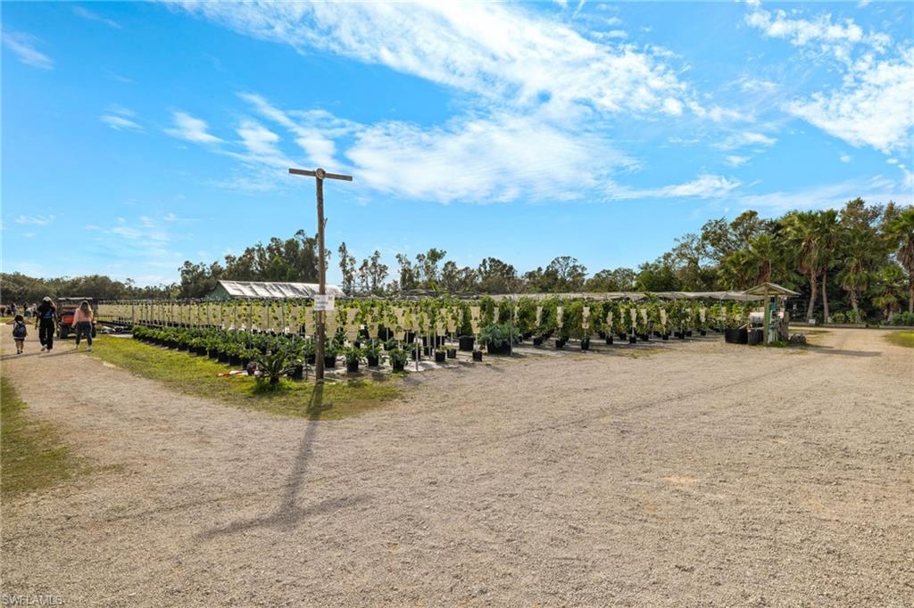 FORT MYERS - Land