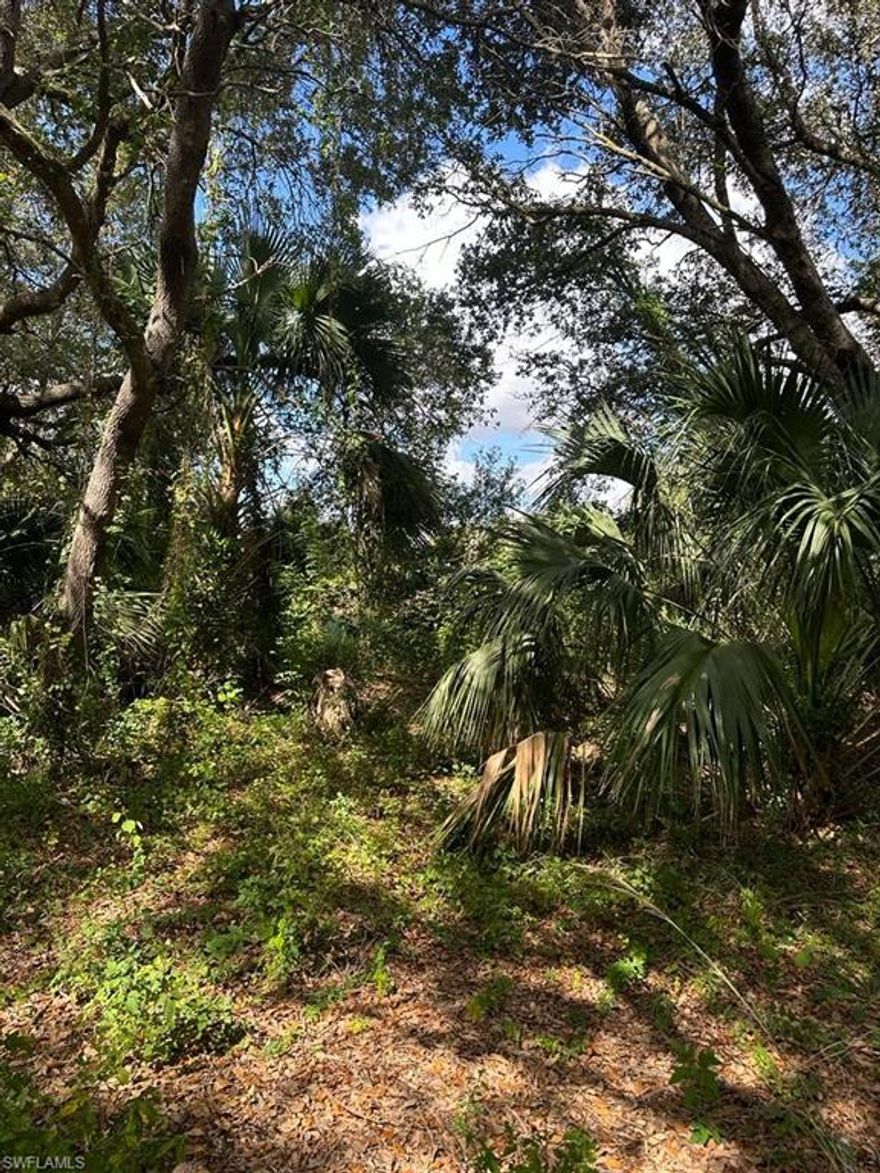 Quarter acre lot and great location for you to build you new home. DEP Report available.