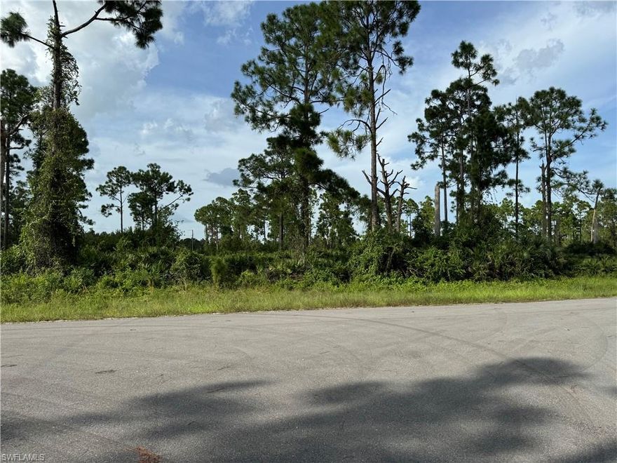 Great Location to build your Dream Home or save this wonderful lot for when you are ready or add this to your land investments while it is still available for a great price. Now may be the best time to purchase lots before the builders snatch them up,  do not miss your chance. Located in the fast-growing area of Lehigh Acres, centrally located in the Southwest Florida with a short drive to Fort Myers, and the surrounding areas like Naples, Bonita Springs and Cape Coral. Build here without the crazy HOA fees and too many restrictions. A short drive to restaurants, shopping, golf course, hospitals, the Caloosahatchee River, and beaches