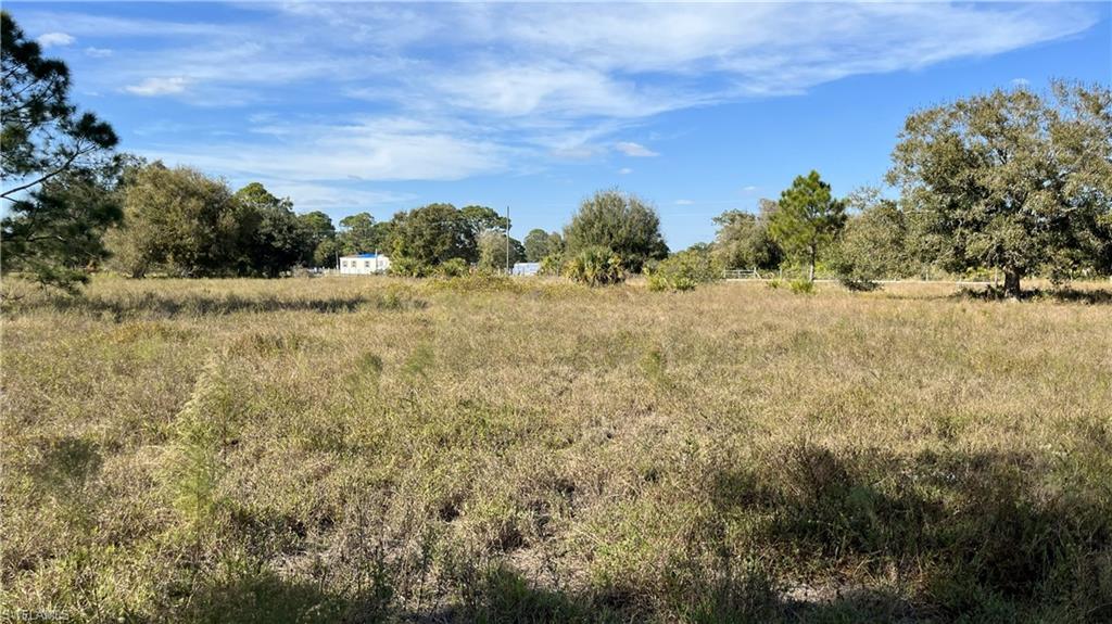 PIONEER PLANTATION - Land