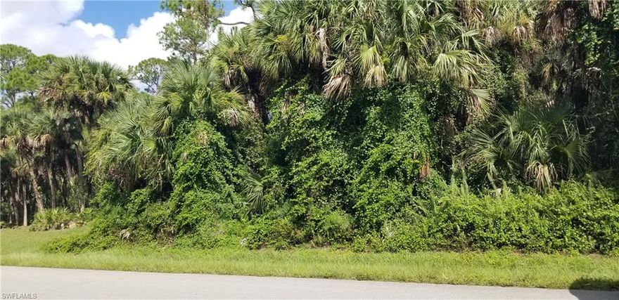 7.73 ACRES IN PRIME LOCATION, this property offers many options for Builder/Investor. Property is already subdivided in three lots, one of 2.27 acres and two of 2.73 Acres. Located just off Wilson Blvd. and only minutes to Publix and shops.