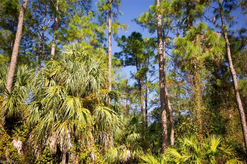 THE SANCTUARY - Residential