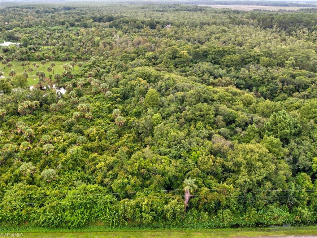 GOLDEN GATE ESTATES - Land