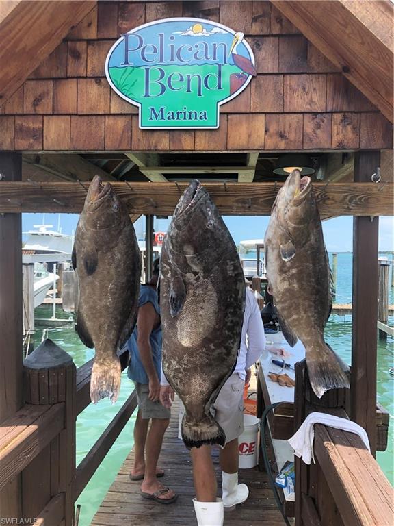 ISLES OF CAPRI - Land