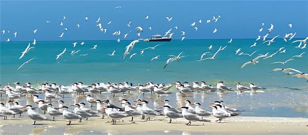 ISLES OF CAPRI - Land