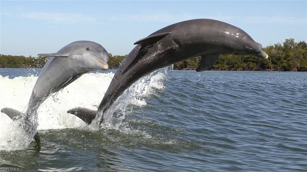 ISLES OF CAPRI - Land