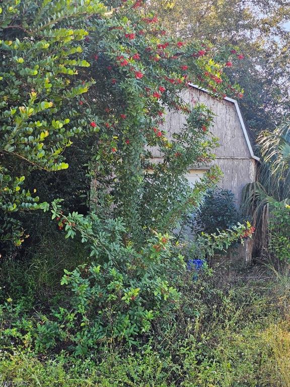 FORT MYERS SHORES - Residential