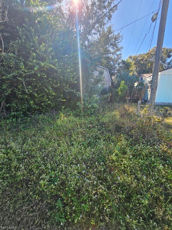 FORT MYERS SHORES - Residential