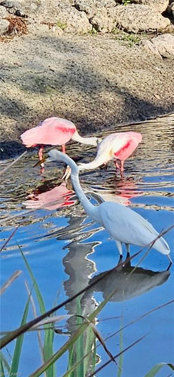 FOREST PARK MOBILE HOME - Residential