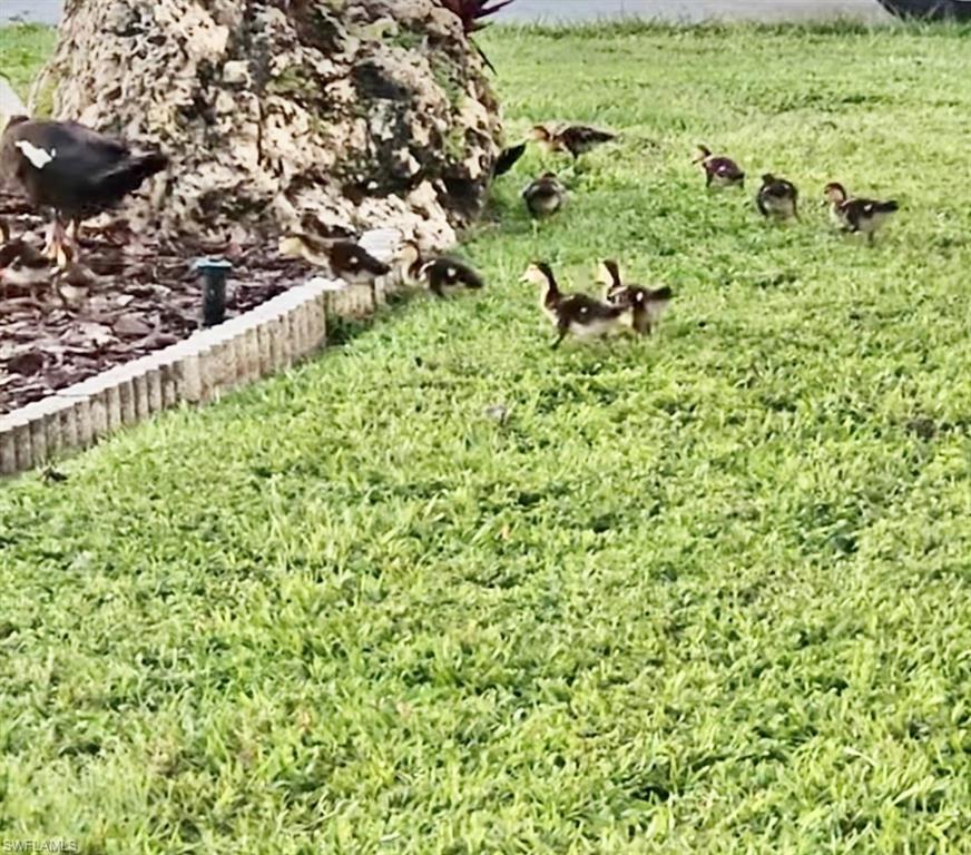 FOREST PARK MOBILE HOME - Residential