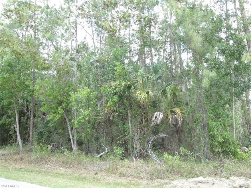 Build your dream home on this wooded 2.58 acres in North Naples. Nice street in Oakes Estates. Excellent close in location, minutes to restaurants and everything Naples has to offer. Uplands lot per Collier County.  Call now!