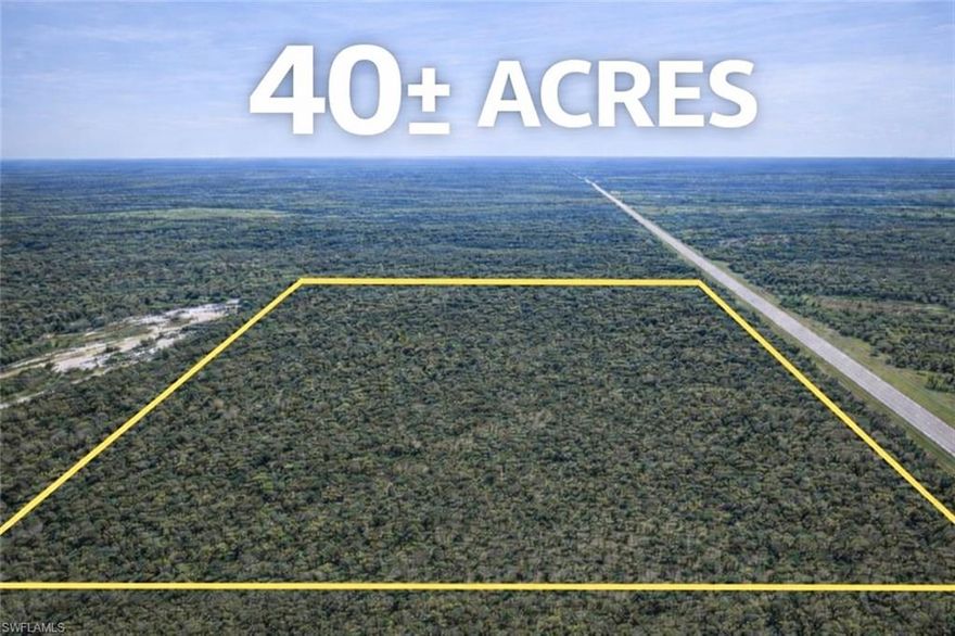 Discover a rare opportunity to own a fully fenced 40-acre parcel just minutes from SR-31 in Punta Gorda. The land is predominantly covered with saw palmetto, providing potential income opportunities through annual berry harvesting, as noted by the owner. Ideal for agricultural use, recreation, or long-term investment, this property offers a versatile canvas in a growing area of Southwest Florida.