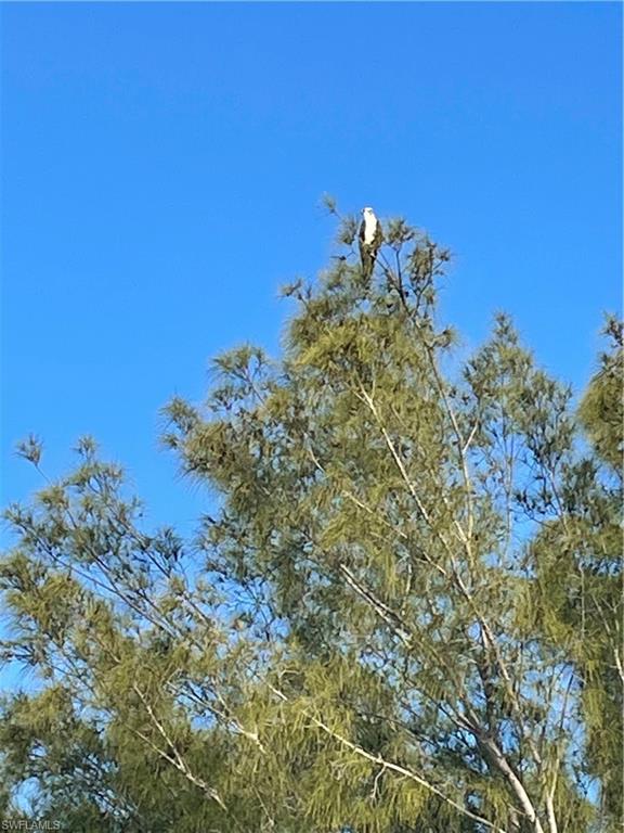 NEWPORT GLEN - Residential