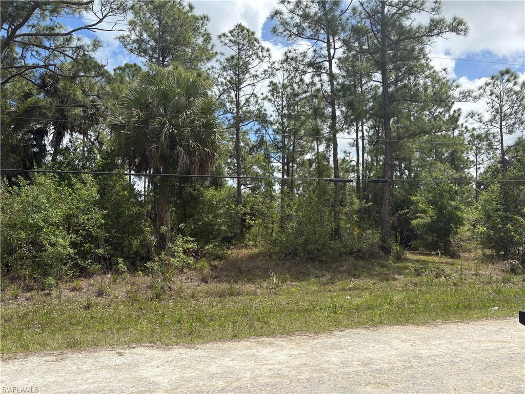 TWIN LAKE ESTATES - Land