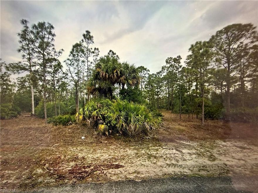 Great Location !! O.50 ACRES TO BUILD ON IN A VERY POPULAR AREA OF NEW HOMES WITH ACREAGE !. Close to Alba boat ramp. Surrounded by nature. Plenty of room for your dream home, outbuildings, pool and more ,which allows easy access to Fort Myers/Naples/Cape Coral. Only 15+/- miles from I-75. Don't miss this opportunity to own a piece of Florida's natural beauty!