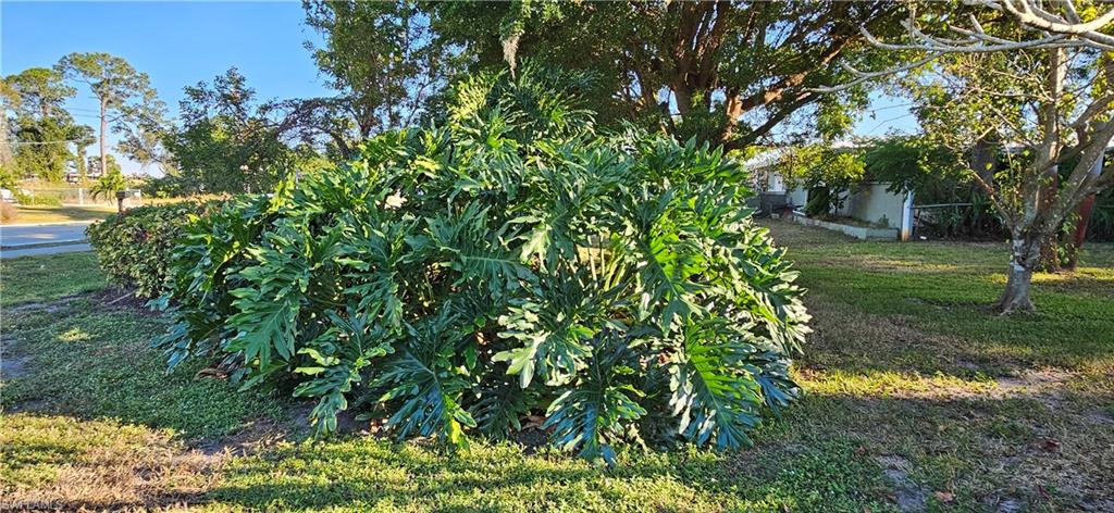 SAN CARLOS PARK - Residential